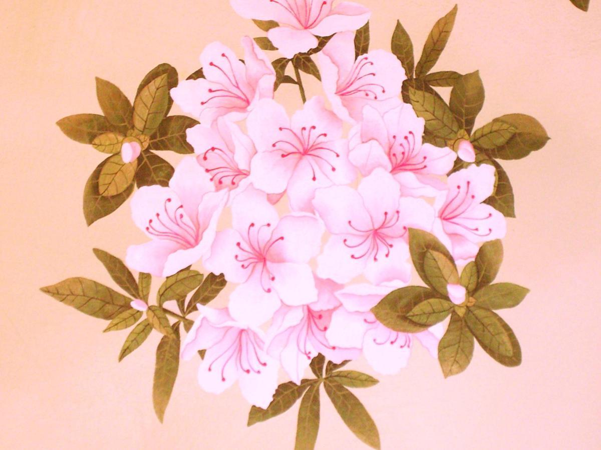 Charming Glicine And Azalea House Art And Colour With Lakeview Cadenabbia Экстерьер фото