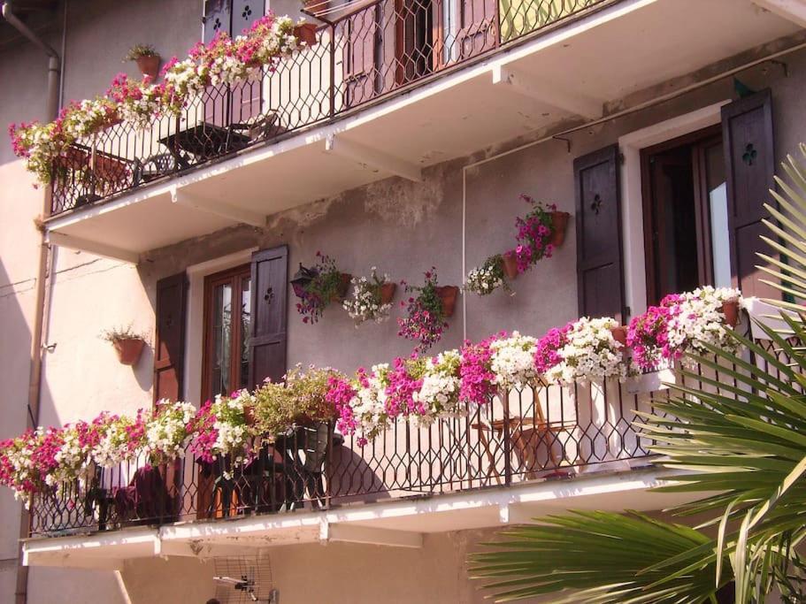 Charming Glicine And Azalea House Art And Colour With Lakeview Cadenabbia Экстерьер фото