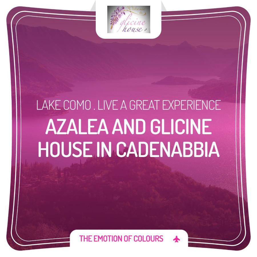 Charming Glicine And Azalea House Art And Colour With Lakeview Cadenabbia Экстерьер фото