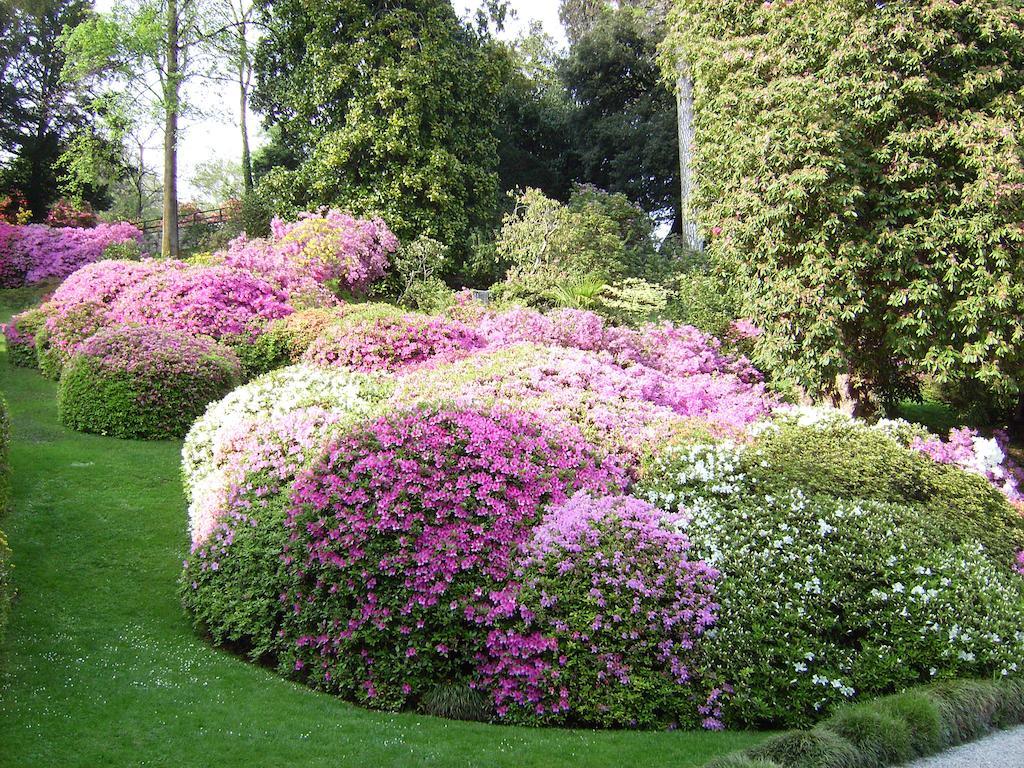 Charming Glicine And Azalea House Art And Colour With Lakeview Cadenabbia Номер фото