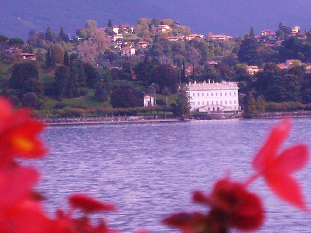 Charming Glicine And Azalea House Art And Colour With Lakeview Cadenabbia Номер фото