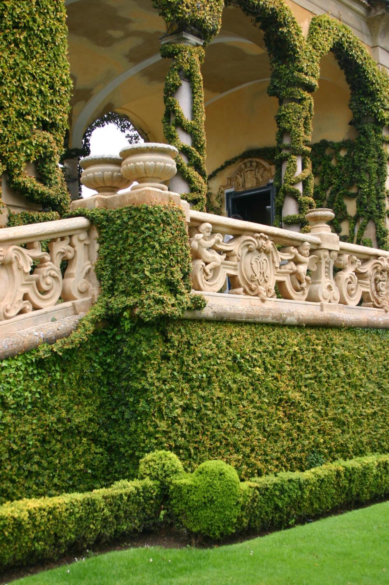 Charming Glicine And Azalea House Art And Colour With Lakeview Cadenabbia Экстерьер фото