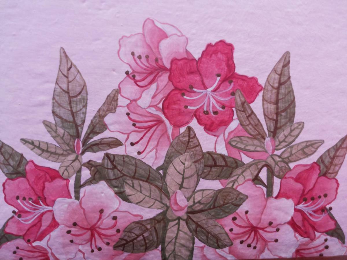 Charming Glicine And Azalea House Art And Colour With Lakeview Cadenabbia Экстерьер фото